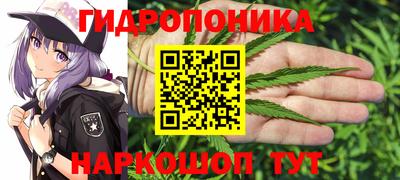 шишки Бугуруслан