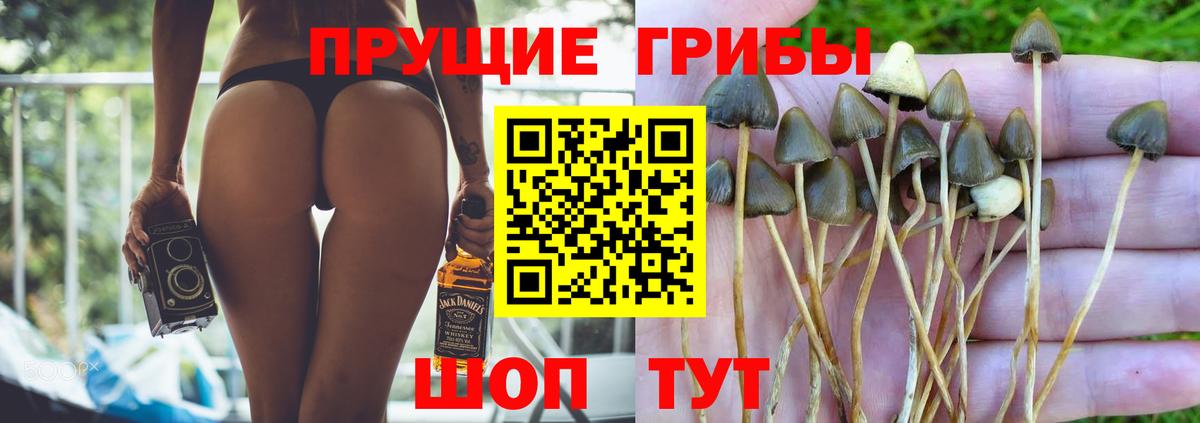 Сафоново  Галлюциногенные грибы мухоморы  Вход с VPN 